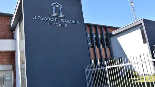Formalizan a hombre en Coronel por contrabando de especies exóticas y maltrato animal