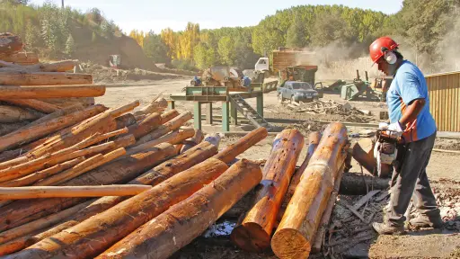 Corma cuestiona arancel de Estados Unidos a productos forestales chilenos y advierte efectos económicos