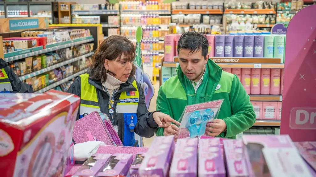La delegación provincial de Biobío de la Autoridad Sanitaria inició su programa de fiscalización en establecimientos que comercializan juguetes, Seremi de Salud Biobío