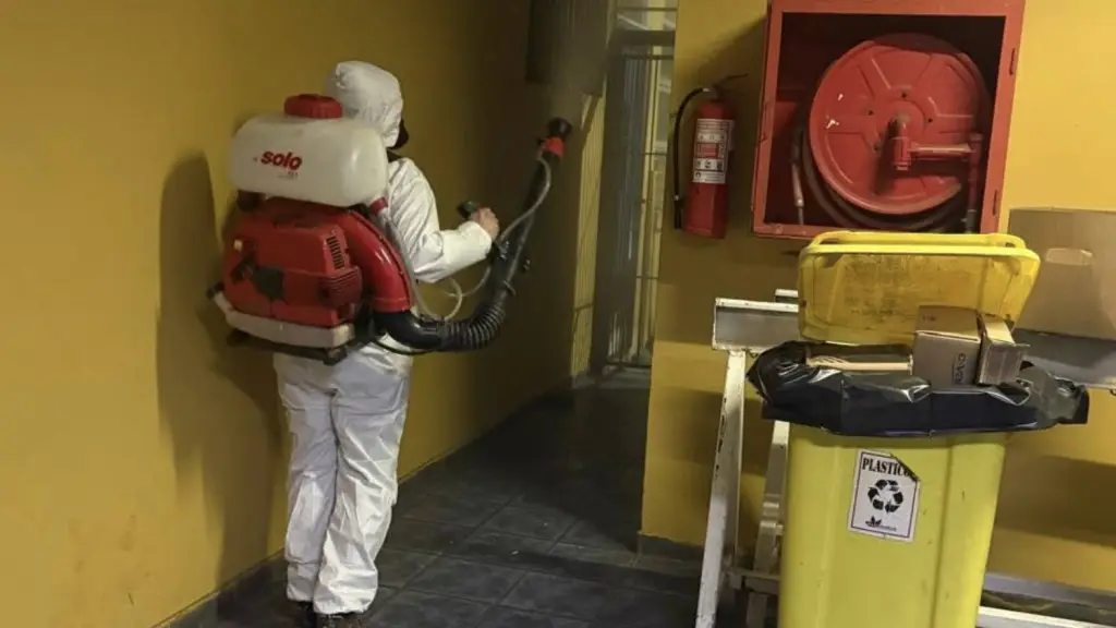 Conmoción en Rengo: Investigan presunto caso de virus Hanta tras fallecimiento de estudiante del Colegio Emma Escobar de Lagos, internet