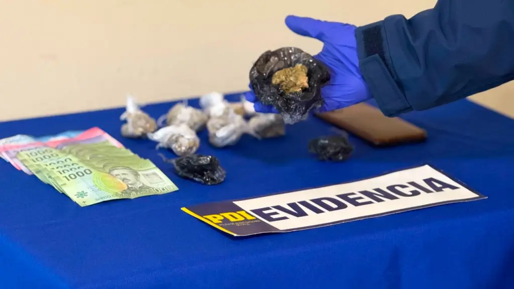 Droga incautada en plaza Teodoro Smith, PDI Araucanía