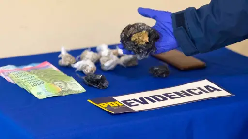 Sorprenden a mujer en plena transacción de droga en inmediaciones de Plaza Teodoro Schmidt de Temuco