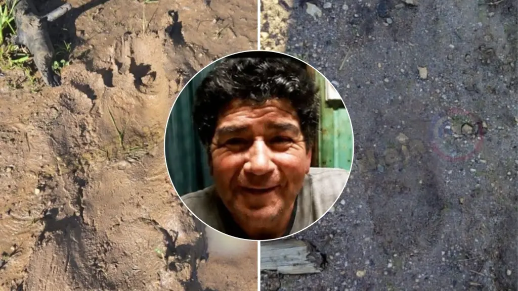 Encuentran pisadas de hombre desaparecido en San Rosendo: rastros apuntan al sector La Planchada, Emergencias Laja