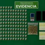 Incautación por parte de Carabineros en Nacimiento, Carabineros de Chile
