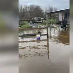 Inundación Brisas de San Gabriel, Cedida