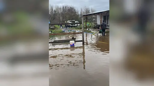 Alerta Temprana Preventiva en Biobío: cuatro días de inundaciones llevan familias de San Gabriel en Los Ángeles