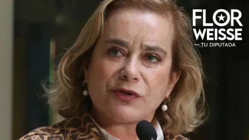 Diputada Flor Weisse apoya propuesta del Ejecutivo que busca acercar el sueño de la casa propia a más familias