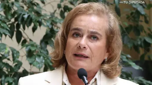 Diputada Flor Weisse solicita al ministro de Hacienda reconsiderar la suspensión de proyectos que impulsan el desarrollo del Biobío