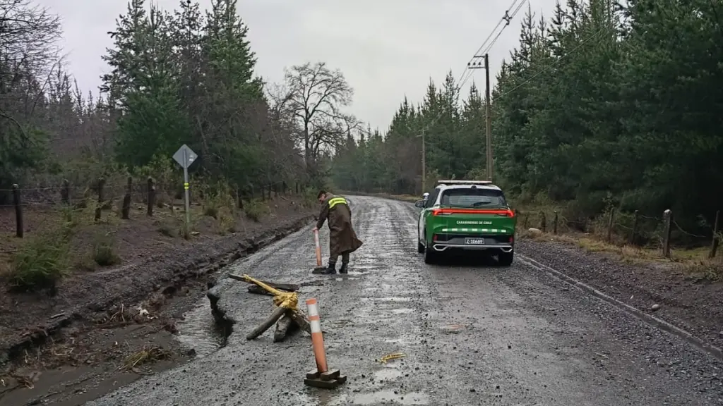 Carabineros del Retén Quilleco, junto a personal de emergencia municipal, realizan labores de limpieza y demarcación de un socavón en una ruta de la comuna., Carabineros Región del Biobío