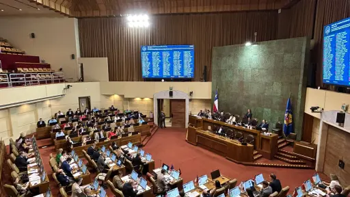 Reforma al SAE avanza al Senado tras aprobación de la Cámara de Diputados
