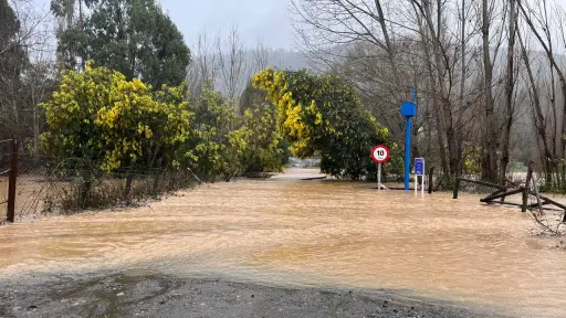 Senapred activa mensajería SAE y ordena evacuaciones por desborde de ríos en Nacimiento