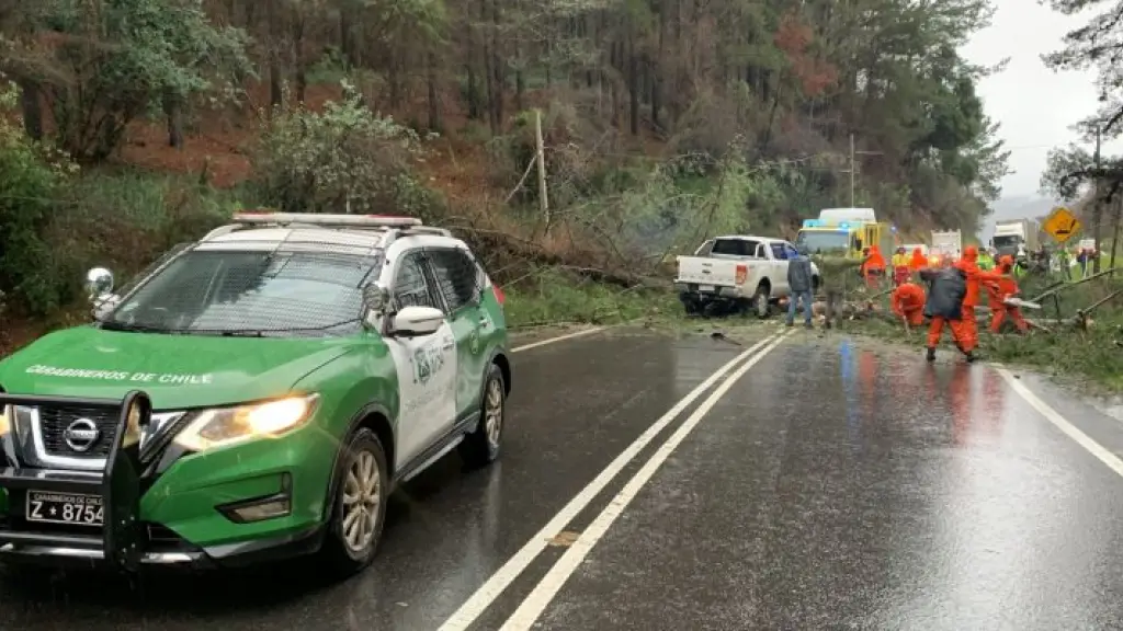 Ruta de la Madera , Contexto - Diario Concepción | Genérica