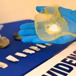 La mujer habría sido sorprendida con droga y clonazepam, PDI Araucanía