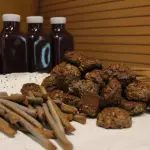 La propuesta surgió desde el equipo de Desarrollo Rural de la Municipalidad de Nacimiento, que identificó el potencial del orujo para generar nuevas alternativas productivas para los pequeños viñateros de la comuna., Municipalidad de Nacimiento