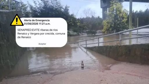 Activan alerta SAE preventiva por crecida de los ríos Renaico y Vergara en La Araucanía