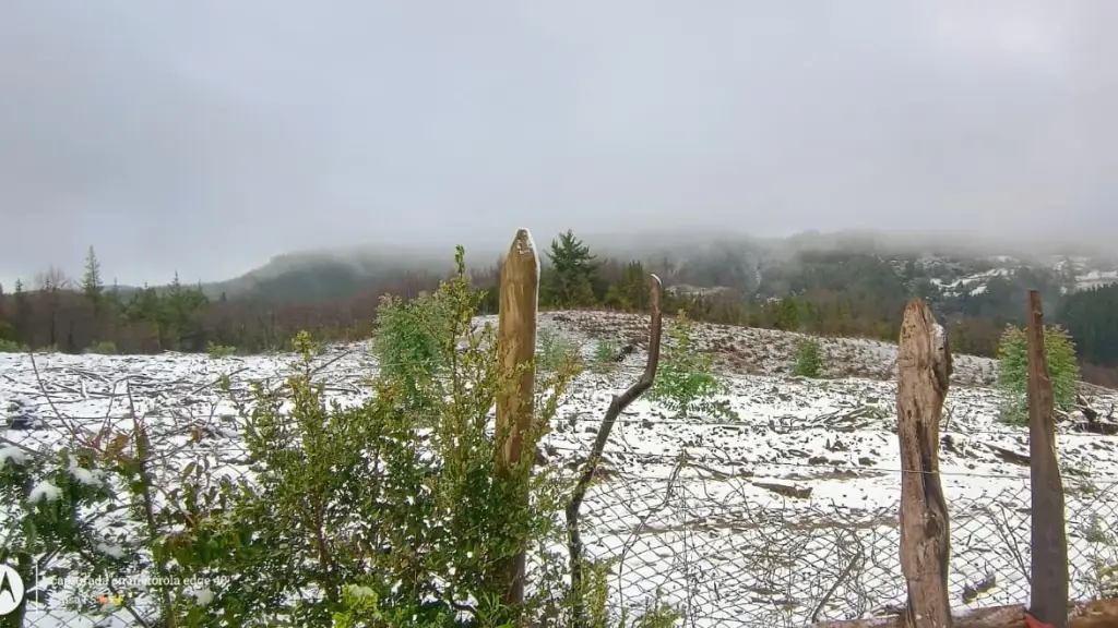 Nieve en Nacimiento 2 | Cedida