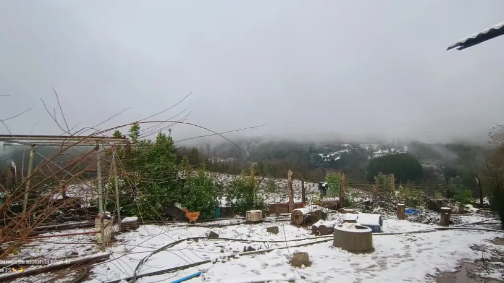 Nieve en Nacimiento 4 | Cedida