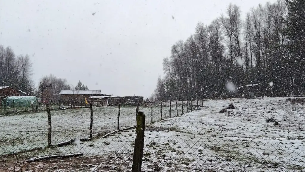 Nieve en Nacimiento 5 | Cedida