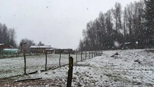 FOTOS: Despertar nevado en Nacimiento durante este sábado