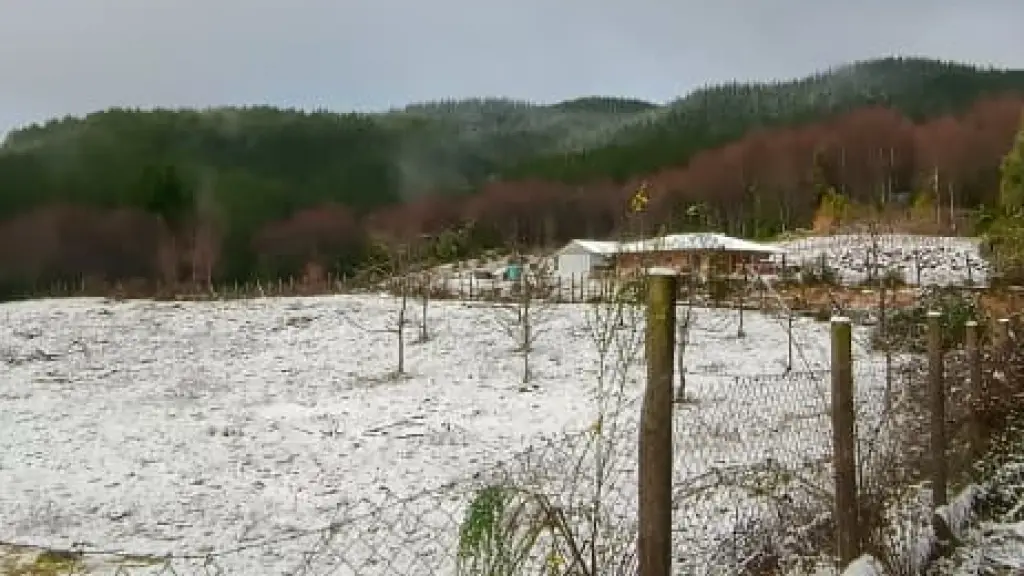 Nieve en Nacimiento - 8 de agosto | Cedida