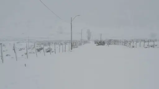 Nieve y viento blanco dificultan el tránsito por rutas cordilleranas de Alto Biobío