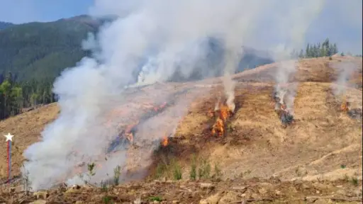 Conaf levanta hasta el 30 de septiembre restricción al uso del fuego en 11 comunas del Biobío