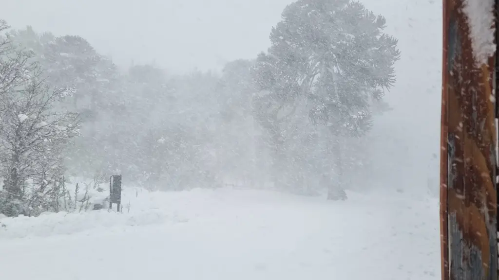 Condiciones invernales, Conaf