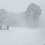 Condiciones invernales, Conaf