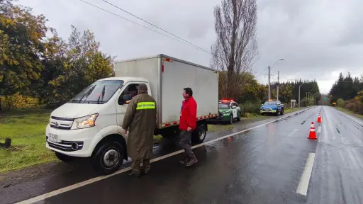 Carabineros y Seguridad Municipal refuerzan prevención del abigeato con fiscalizaciones en Huépil