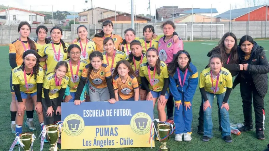 Las Pumitas de la Escuela de Fútbol Formativa Los Pumas celebran su destacada participación en la Copa Región del Biobío, torneo en el que conquistaron una Copa de Plata y dos subcampeonatos, confirmando el prometedor crecimiento del fútbol femenino local., Cedida