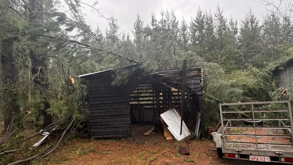 Vecino cuyo terreno se emplaza frente a Villa Fátima, en Tucapel, se vio afectado por los efectos del tornado., Cedida