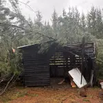 Vecino cuyo terreno se emplaza frente a Villa Fátima, en Tucapel, se vio afectado por los efectos del tornado., Cedida
