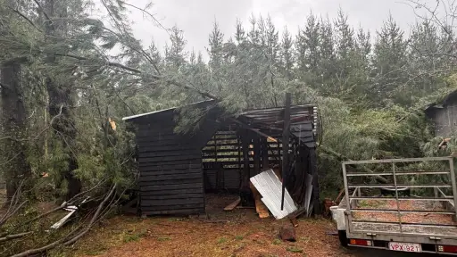 Meteorólogo explica fenómeno tornádico registrado en Tucapel