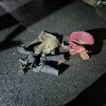 Artículos usados para el robo de animales, Carabineros de Chile