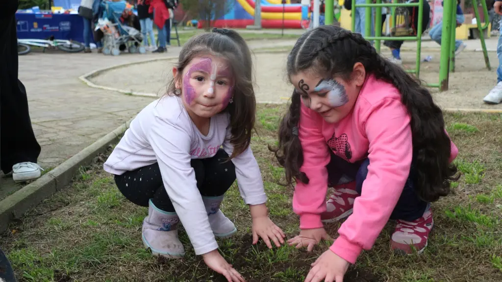  Los árboles plantados comenzarán ahora a formar parte del paisaje de La Rinconada y Rucalhue, Minvu