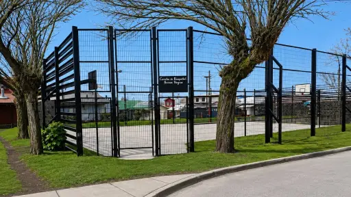 Buscan rebautizar multicancha de Orompello en memoria de histórica fundadora de Boinas Negras