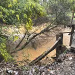 Efectos del pasado temporal, MOP