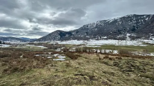 Indap coordina entrega de 300 toneladas de forraje para ganaderos afectados por las nevazones en Alto Biobío