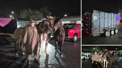 Dos detenidos por abigeato tras ser sorprendidos con tres caballos en Cabrero