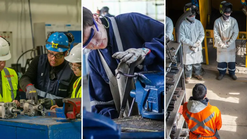 Educación Técnico Profesional abre nuevas oportunidades para estudiantes de Biobío, La Tribuna