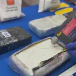 Droga incautada por la PDI en San Pedro de la Paz, PDI Biobío
