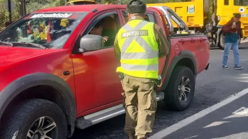 Controles en ruta buscan prevenir el abigeato en Antuco