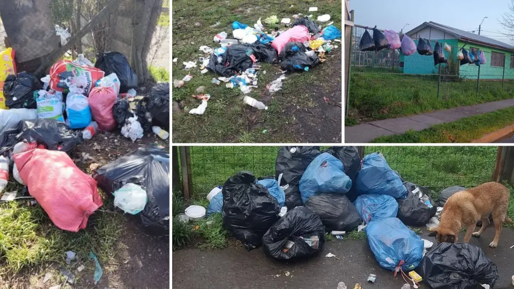 Acumulación de basura en Santa Bárbara, La Tribuna