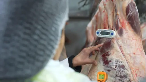 Más de 3 toneladas de carne han sido decomisadas tras fiscalizaciones de Fiestas Patrias en el Biobío
