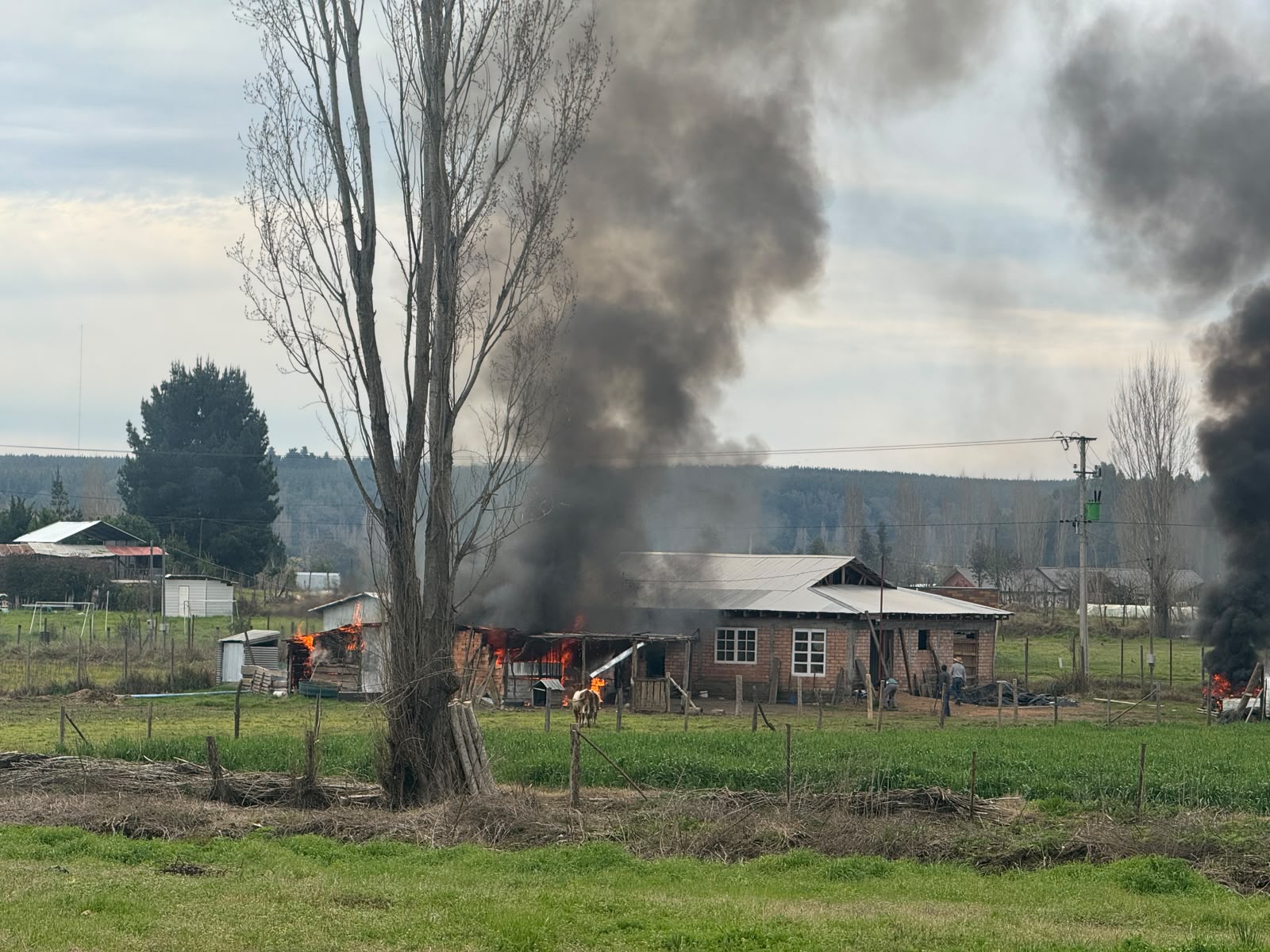 Incendio en Fundo Tralpenes / CB Nacimiento