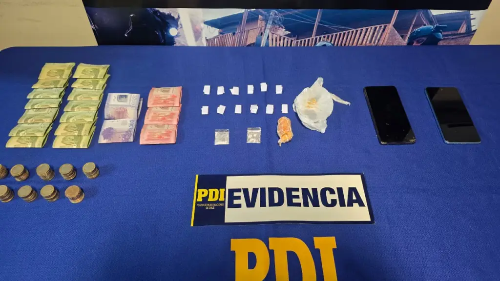 Especies incautadas en operativo realizado en Los Ángeles, PDI Biobío