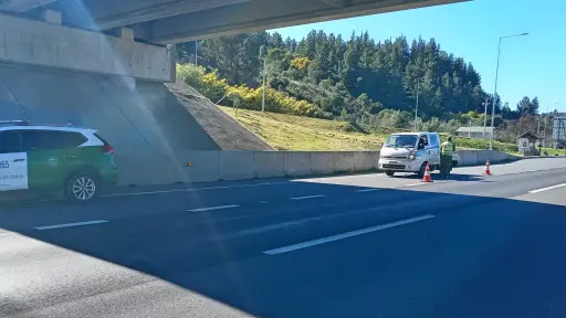 Carabineros refuerza controles en ruta para prevenir delitos de abigeato 
