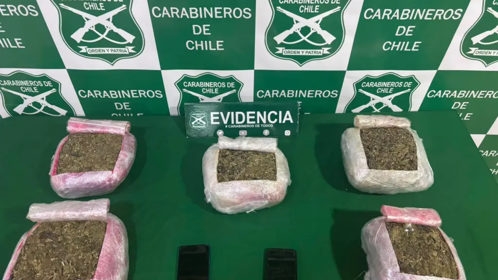La droga incautada fue avaluada en 60 millones de pesos., Carabineros de Chile