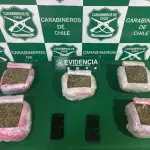 La droga incautada fue avaluada en 60 millones de pesos., Carabineros de Chile