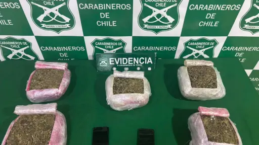 Incautan casi seis kilos de marihuana tras fiscalización a bus en Cabrero